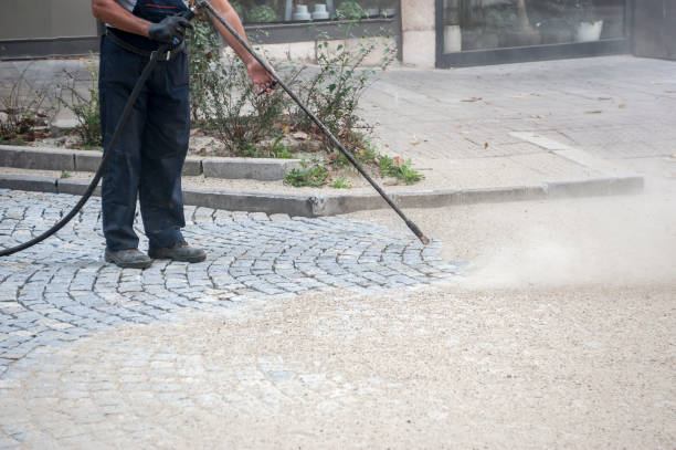 Best Patio and Deck Pressure Washing  in White Horse, NJ